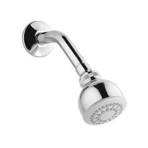 Olyos Wall Mount Shower