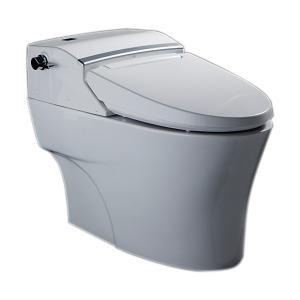 Aerozen Shower Toilet 305mm