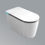 Enzo Neo -Wall-hung toilet with soft-close seat in white