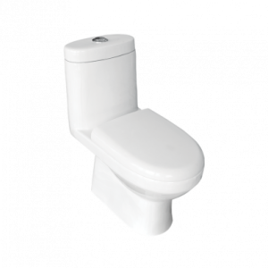 IMMACULA S-220 One Piece Water Closet