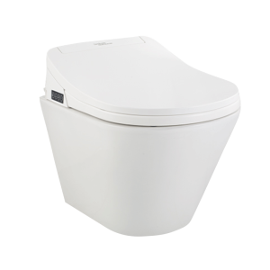 E Clenz Wall Mounted Water Closet
