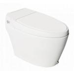 Automate Floor Mounted Water Closet