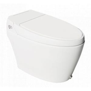 Automate Floor Mounted Water Closet